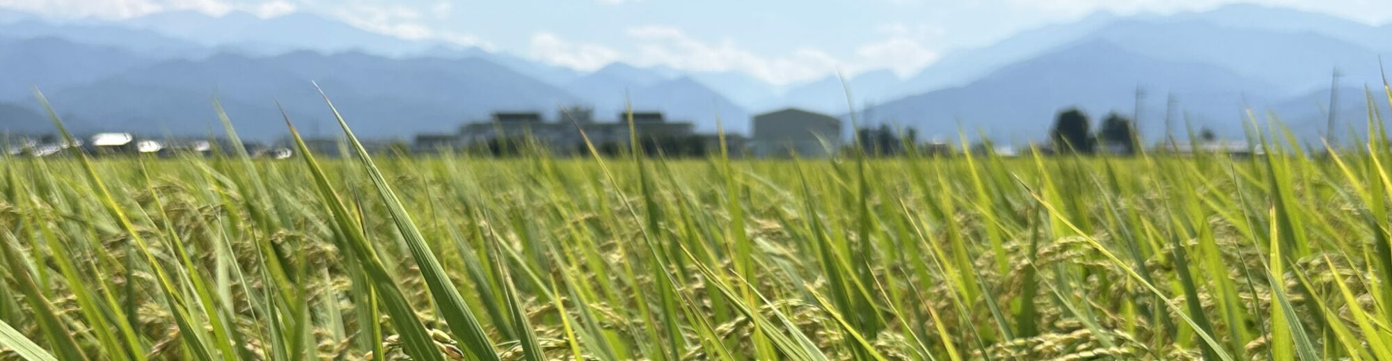 　　富山県入善町立黒東小学校